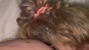 Прошу Прощения Моя Дорогая, Разреши Мне Доставить Тебе Оральное Удовольствие Своим Ротиком.