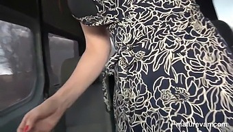 Milf Offers Assistance To A Stranded Couple